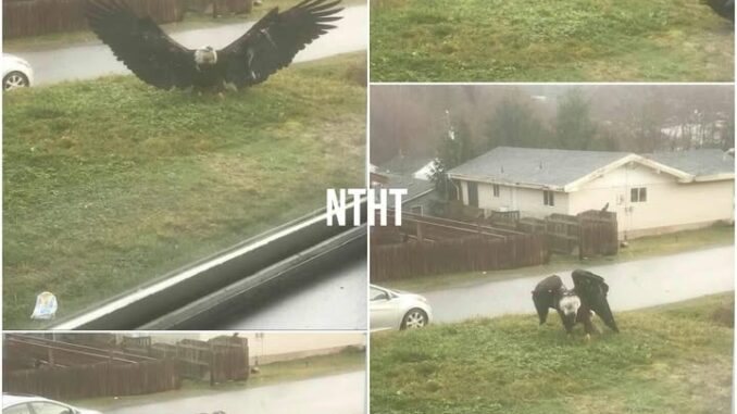 Giant Eagle captured in Bro…See more