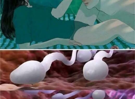 Many know! Studies reveal that swallowing your partner’s semen… See more 👎👎