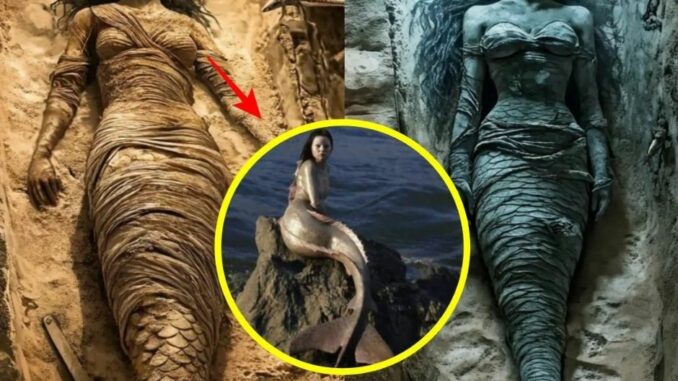 Shocking find in Egypt a ‘mermaid’ mummy has been unearthed, sparking debate between mythology and science.