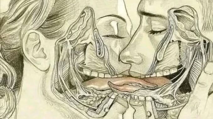 THE TONGUE AND WHAT HAPPENS WHEN WE KISS TONGUE… See More