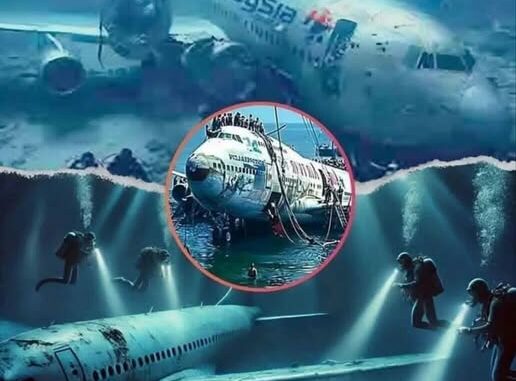 They find missing plane after 40 years with over 92 pa... See more