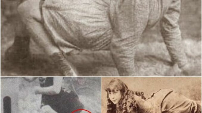 Unearthing Astonishing Images Startling Depictions of Mutants Walking Like Spiders in the 15th Century