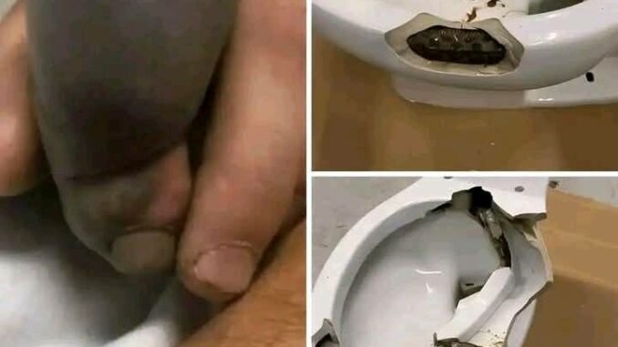Esto es lo que sucede si no sabes que en tu casa tienes la...Ver más